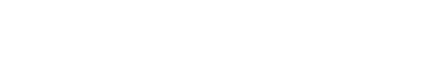datsen agency logo